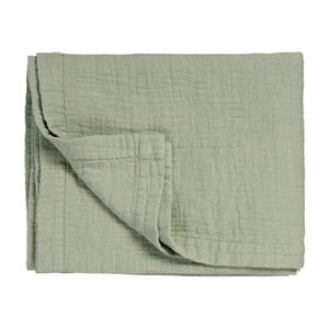 Vandyck Pure 68 G.Dyed Smoke Green Plaid 160x250