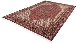 Morgenland Orientteppich Perser - Bidjar - 298 x 199 cm - braun, rechteckig, 15 mm Höhe, Wohnzimmer, Handgeknüpft, Einzelstück mit Zertifikat