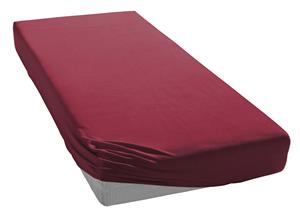 Irisette Spannbettlaken Jupiter 8, Spannbettlaken in hochwertige Jersey-Qualität, Premium Qualität in 135 g/m², mit Gummizug, 100% Mako Baumwolle, hautfreundlich