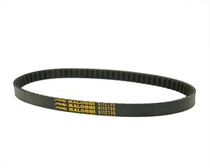 Malossi V-snaar  X Special Belt voor Peugeot