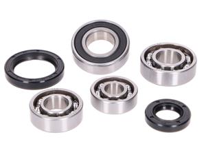 OEM Standard LagerSet Aandrijving incl. Keerringen voor Daelim E-Five, S-Five, Vivo 50cc 2-Takt
