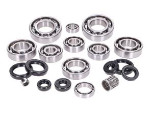 OEM Standard LagerSet Motor incl. Keerringen voor roodax 122cc