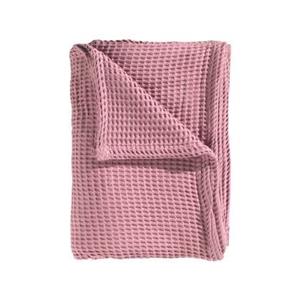 Heckettlane Heckett Lane Wafel Plaid - Baby Pink