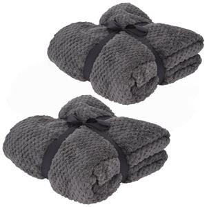 H&S Collection Fleece dekens/plaids - 2x - grijs - 130 x 170 cm -