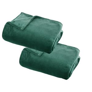 Atmosphera 2x Stuks Fleece deken/fleeceplaid groen 130 x 180 cm polyester -