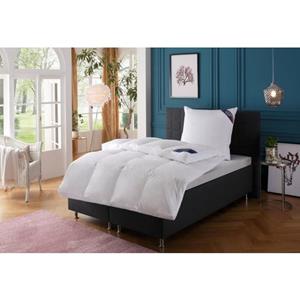 Excellent Donzen dekbed + 3-kamer-hoofdkussen Venedig Bettdecke 135x200 und 155x220 cm, (voordeelset)