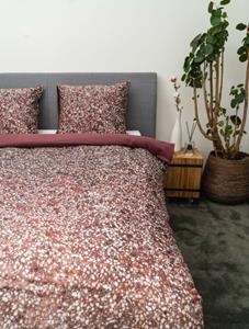 Kayori  Sato - Dbo - Pima - 260/200-220 - Rood