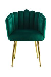 Underbar Eetkamerstoel Muna velvet | 