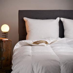 Natural Goose Enkel , All season Dekbed  100% Ganzendons - 200x200 cm (Tweepersoons) -  - 500 gram - 