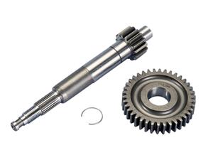 Polini Primaire vertanding  15/38 voor Piaggio 50 2T 1998
