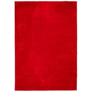 VIDAXL Vloerkleed Laagpolig Zacht En Wasbaar 120x170 Cm Rood