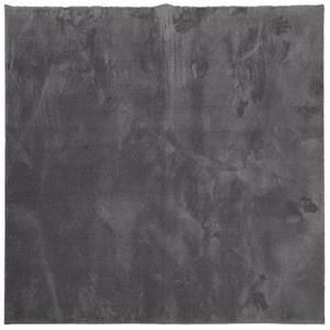 VIDAXL Vloerkleed Laagpolig Zacht En Wasbaar 160x160 Cm