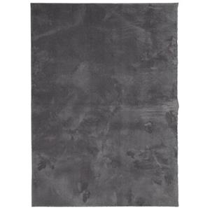 VIDAXL Vloerkleed Laagpolig Zacht En Wasbaar 140x200 Cm