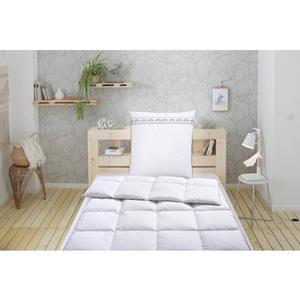 Älgdröm Veren dekbed + hoofdkussen Forsakar 2-delig, set met kussen 80 x 80 cm, made in germany (voordeelset)
