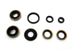 Diverse / Import Motor Simmering Set 8 teilig voor Hercules Sachs 50 / 3 Brommer Pedal Start