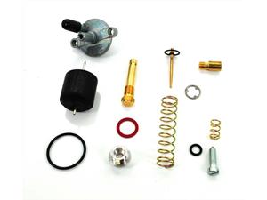 Diverse / Import Carburateur Dicht + Reparatie Set 14 teilig voor Hercules Sachs 1/12 SSB