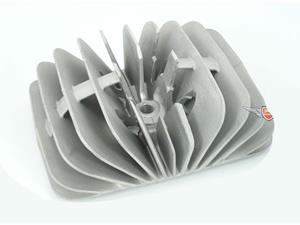 Diverse / Import Cilinder Kop 80cc Fächer Tuning voor Hercules K 50 KX Sachs 50 S