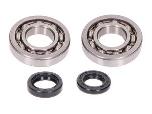 OEM Standard LagerSet Krukas incl. Keerringen voor Peugeot Speedfight, Elyseo, Trekker 100
