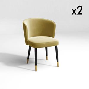 SIA Home Set van 2 eetkamerstoelen Nils velvet | 