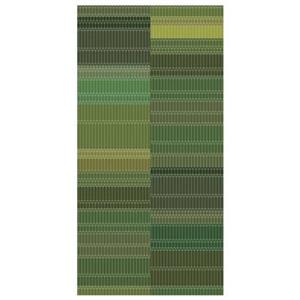 Moooi Carpets Zig Zag vloerkleed 200x300 groen