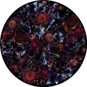 Moooi Carpets Fool's Paradise vloerkleed 350