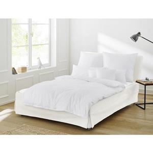 Irisette Overtrekset Paris 8000 in afm. 135x200, 155x220 of 200x200 cm Dekbedovertrek van katoen, unikleurige dekbedovertrek met ritssluiting