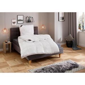 Hanse by RIBECO Synthetisch dekbed + hoofdkussen MAX Onoverwinnelijke prijs-kwaliteitverhouding! (voordeelset)