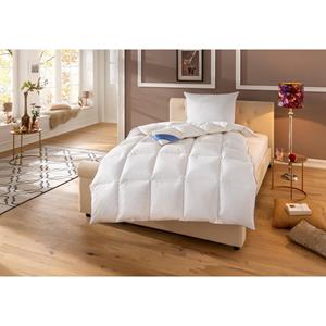 Hanse by RIBECO Donzen dekbed Lina Hoogwaardig natuurproduct! Warm
