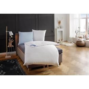 RIBECO Veren dekbed Leon Extrawarm