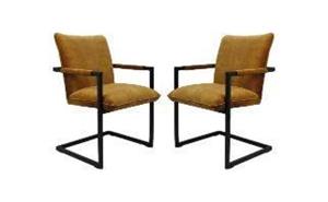 HSM Collection Set van 2 eetkamerstoelen Boston velvet | 