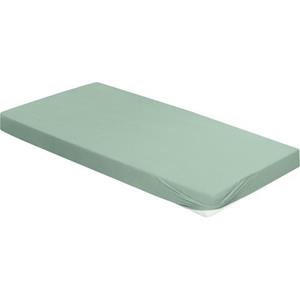 BIERBAUM Hoeslaken Jersey-elastaan in mt. 90x200, 140x200 of 180x200 cm van katoen met elastaan voor matrassen tot 30 cm hoogte, laken (1 stuk)