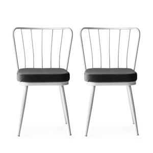 Atelier Del Sofa Set van 2 eetkamerstoelen Darnell velvet | 
