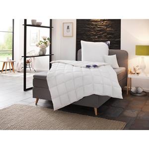 SPESSARTTRAUM Donzen dekbed + veren kussen First class Besparingsset: 5 warmteklassen, 135x200 cm & 155x220 cm (voordeelset)