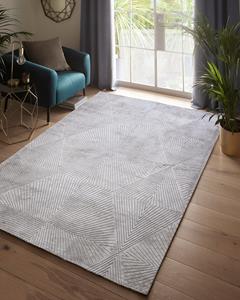 MOMO Rugs  Clarke & Clarke Blaize Silver -