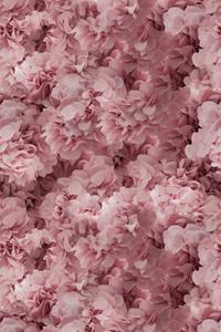 Moooi Carpets  Laagpolig Vloerkleed Hortensia Pink Soft Yarn -