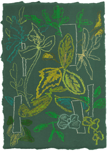 Moooi Carpets  Vloerkleed Sprouts Scarlet Green Soft Yarn -
