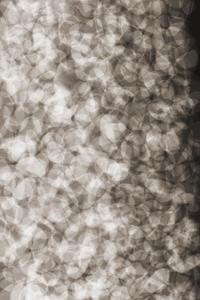Moooi Carpets  Vloerkleed Lying Petals Low Pile -