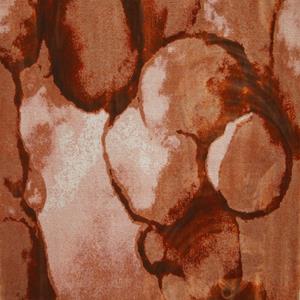 Countrylifestyle Vloerkleed Patrick 1020 160x230