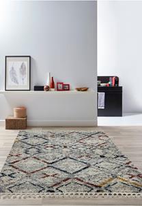 MOMO Rugs  Cyrus CY10 Beni Swatch -
