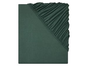 Livarno home Jersey hoeslaken 180-200 x 200 cm (Groen)