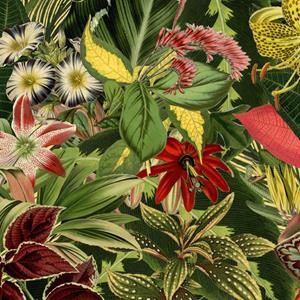 Moooi Carpets  Vloerkleed Herbarium of Extincts Plants Square Low Pile - 250x250 cm