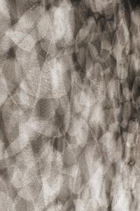 Moooi Carpets  Vloerkleed Flowing Petals Wool -