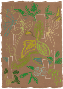Moooi Carpets  Vloerkleed Sprouts Scarlet Sand Wool -