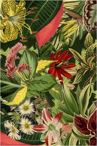 Moooi Carpets  Vloerkleed Herbarium of Extincts Plants Rectangle Low Pile - 200x300 cm