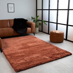 Viverne Vloerkleed Susiana | 