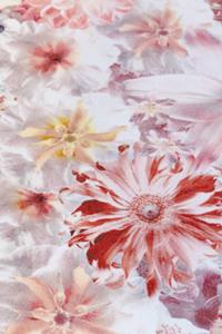 Moooi Carpets  Laagpolig Vloerkleed Flowergarden Rectangle Day Low Pile - 200x300 cm