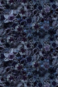 Moooi Carpets  Laagpolig Vloerkleed Flowergarden Rectangle Night Low Pile - 200x300 cm