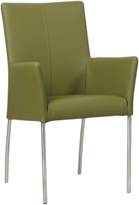 SHOPX HUISCOLLECTIE Groene leren moderne eetkamerstoel Comfort - poot rond rvs - Toledo Leer Apple Green (groen leer)