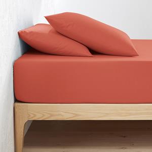 LA REDOUTE INTERIEURS Hoeslaken in bio perkalkatoen Scenario