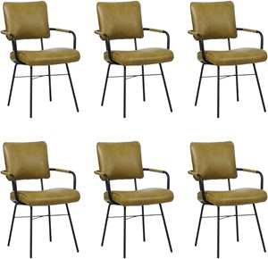 SHOPX HUISCOLLECTIE Set van 6 Leren eetkamerstoelen Solid - Met armleuning - Echt leer, Industrieel, Comfortabel en kies uit meer dan 150+ kleuren - Ontdek de Vele Leersoorten en Kleuren bij ShopX